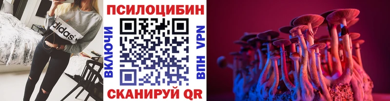 наркота  kraken   Псилоцибиновые грибы Cubensis  Светогорск 