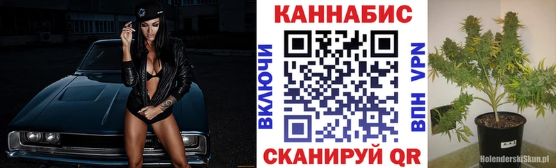 наркота  Светогорск  Канабис план 